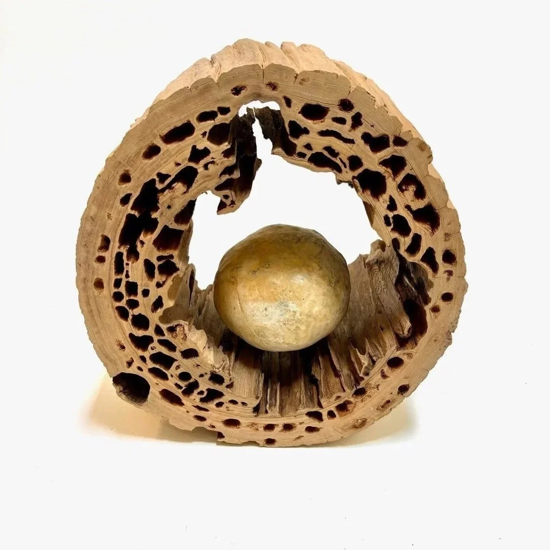 Sound Forest — Soli Pierce